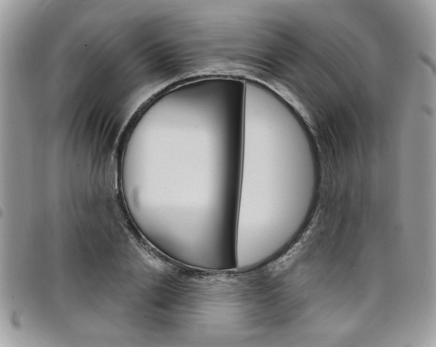 X0000097970838200803241017
