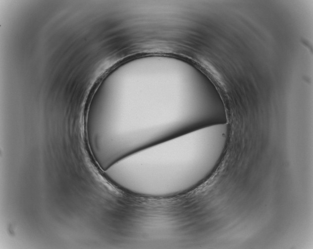 X0000097970840200803241017
