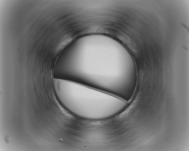 X0000097970841200803241017