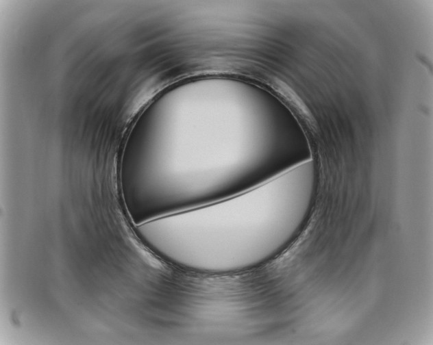 X0000097970842200803241017