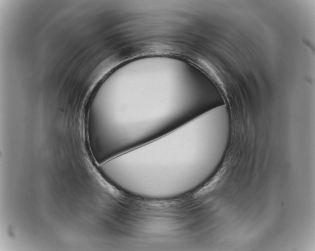 X0000097970843200803241017