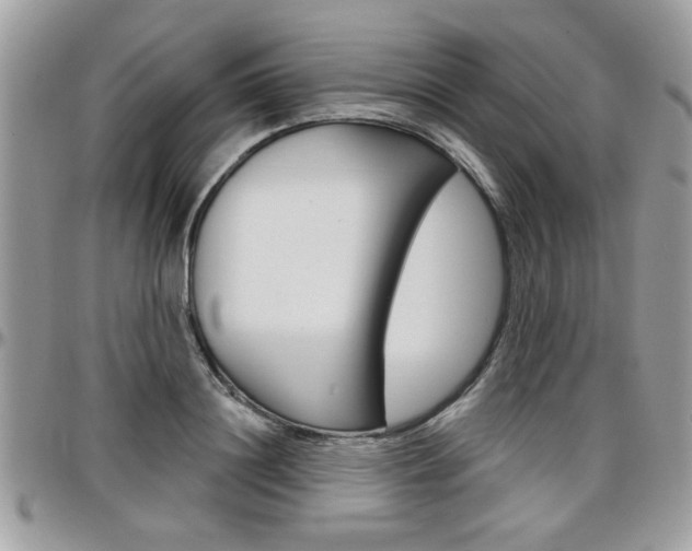 X0000097970844200803241017