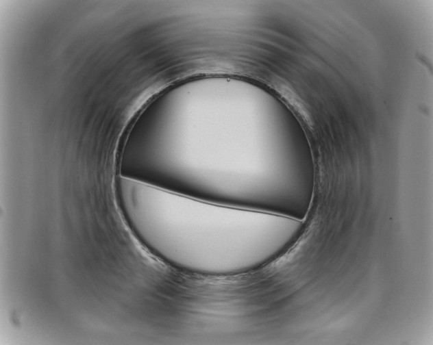 X0000097970845200803241017