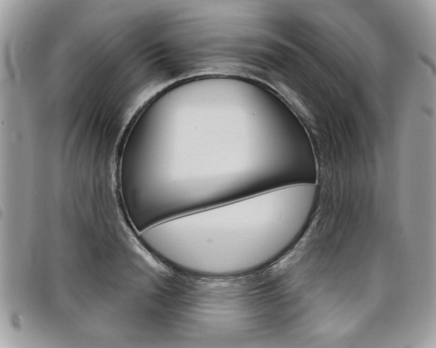 X0000097970846200803241017