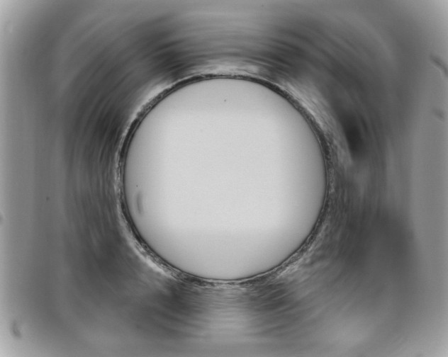 X0000097970848200803241018