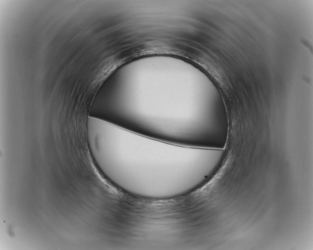 X0000097970849200803241018