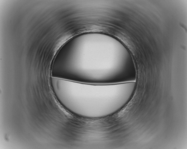 X0000097970850200803241018