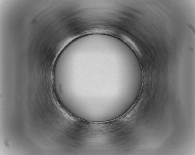 X0000097970852200803241018