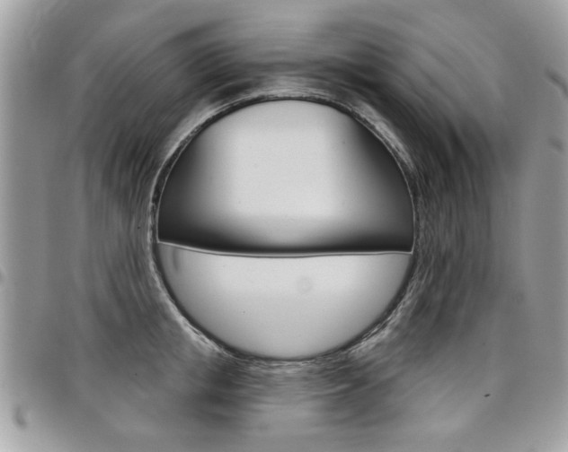 X0000097970853200803241018