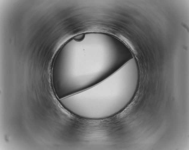 X0000097970854200803241018