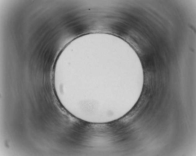 X0000097970856200803241018