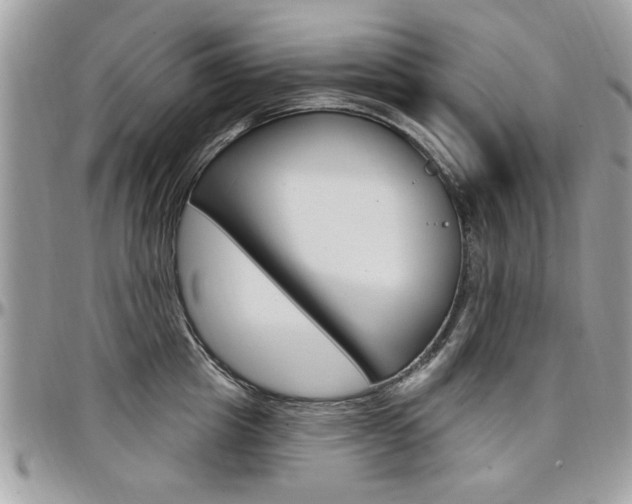 X0000097970857200803241018