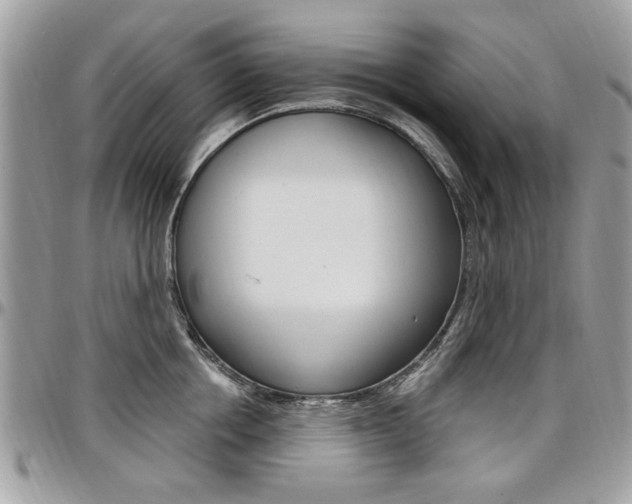 X0000097970858200803241018