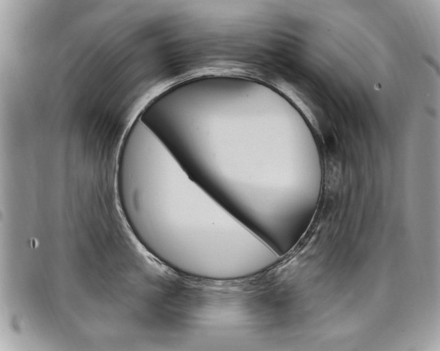 X0000097970861200803241018
