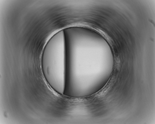 X0000097970862200803241018