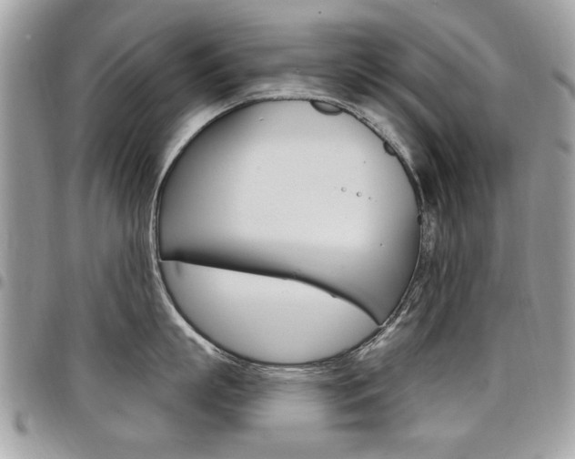 X0000097970863200803241018