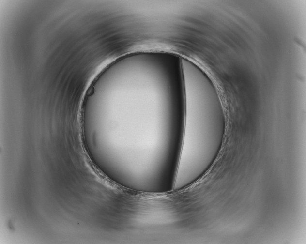 X0000097970864200803241018