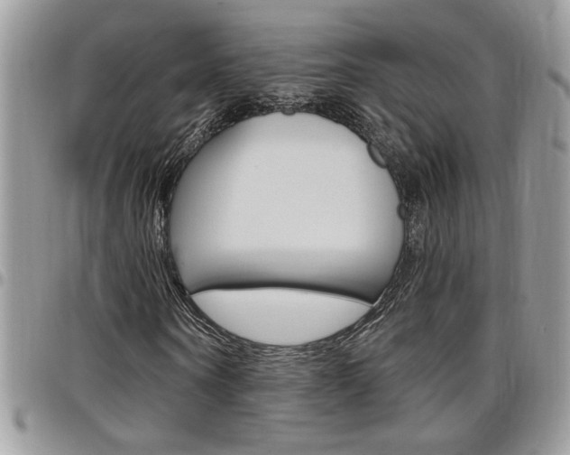 X0000097970866200803241017