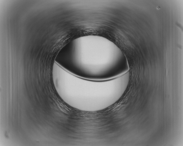 X0000097970868200803241017