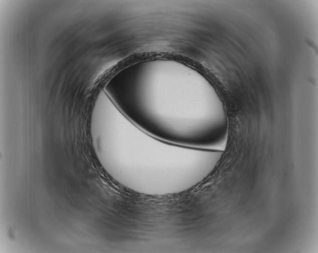 X0000097970872200803241017