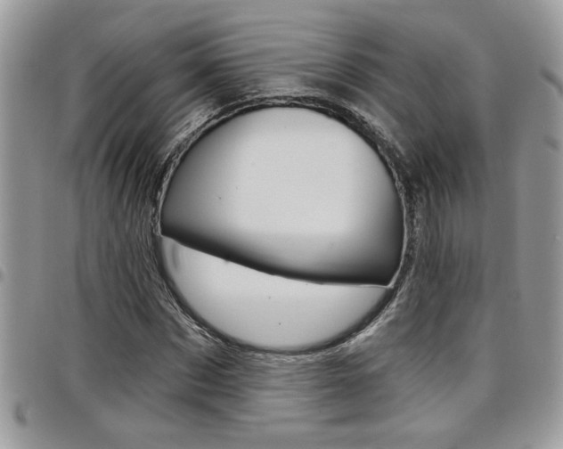 X0000097970873200803241017