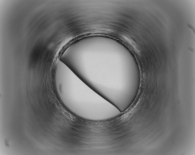 X0000097970875200803241017