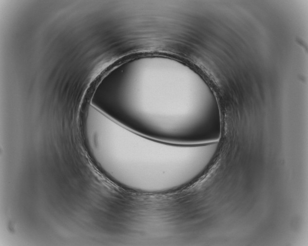 X0000097970876200803241017