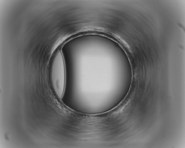X0000097970877200803241017