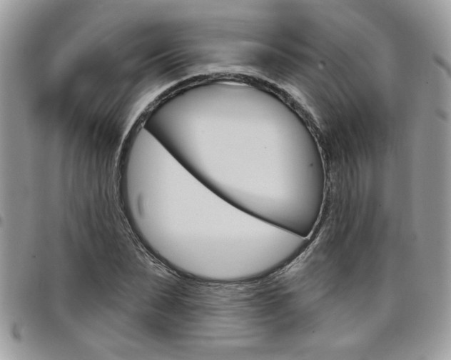 X0000097970879200803241017