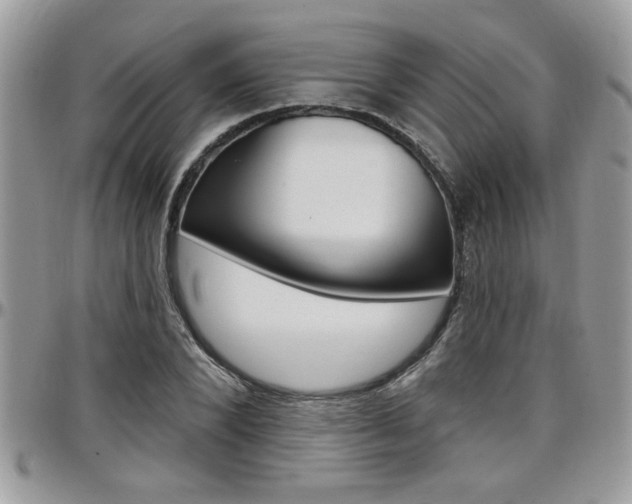 X0000097970880200803241017