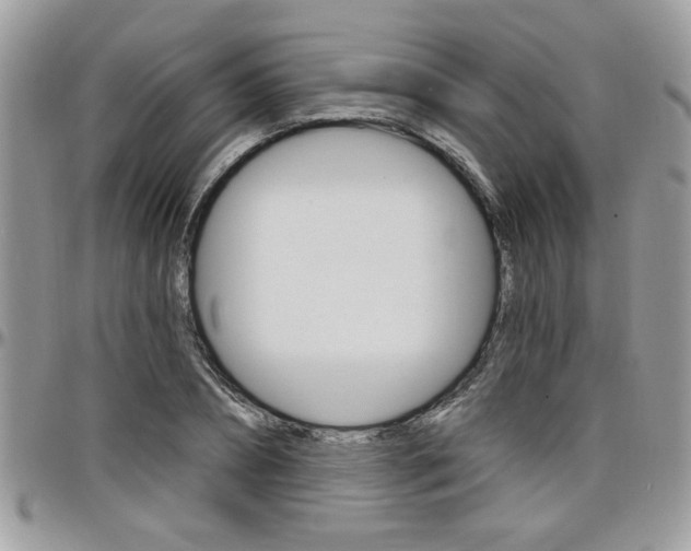 X0000097970882200803241017