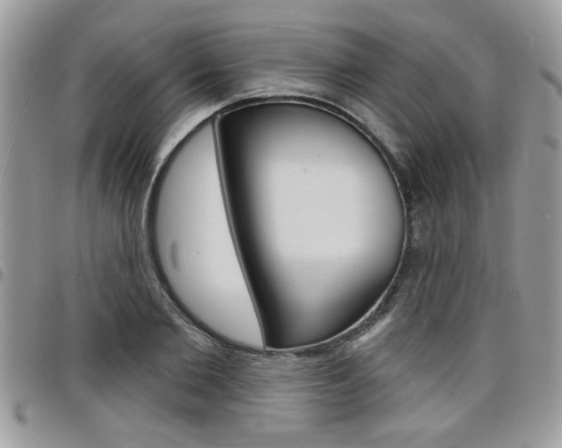 X0000097970885200803241017