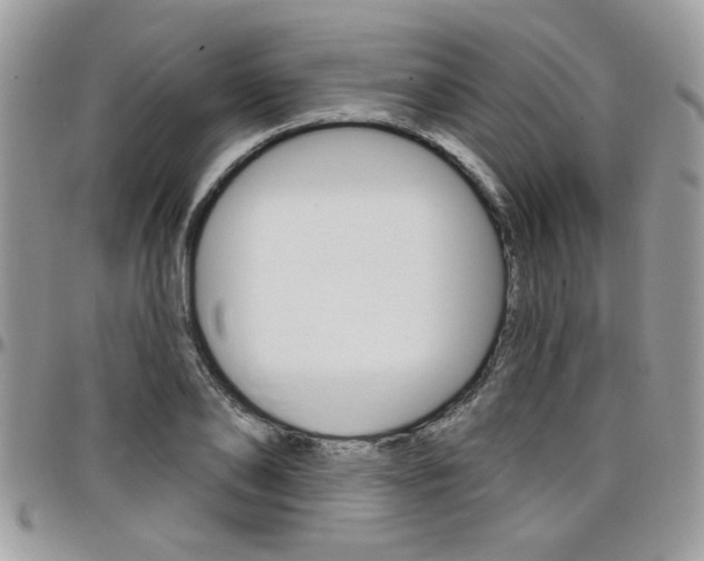 X0000097970886200803241017