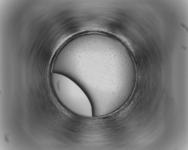 X0000097970887200803241017