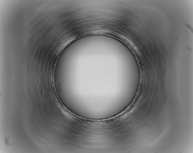 X0000097970889200803241017