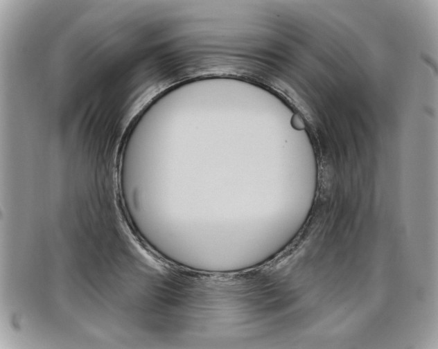 X0000097970890200803241017
