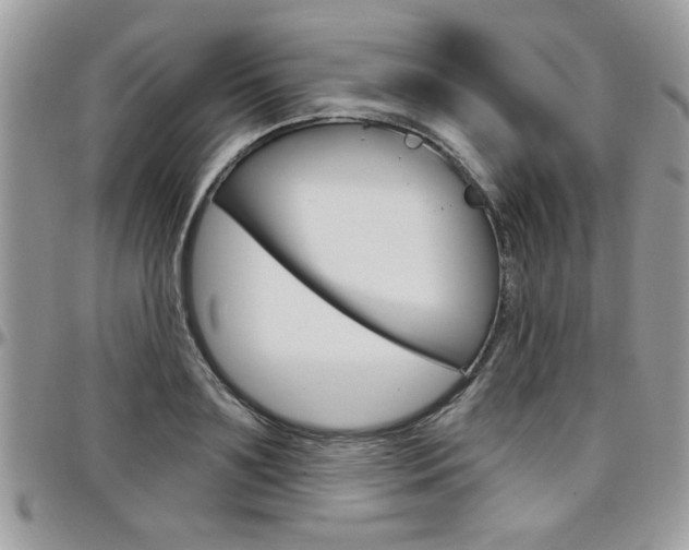 X0000097970891200803241017