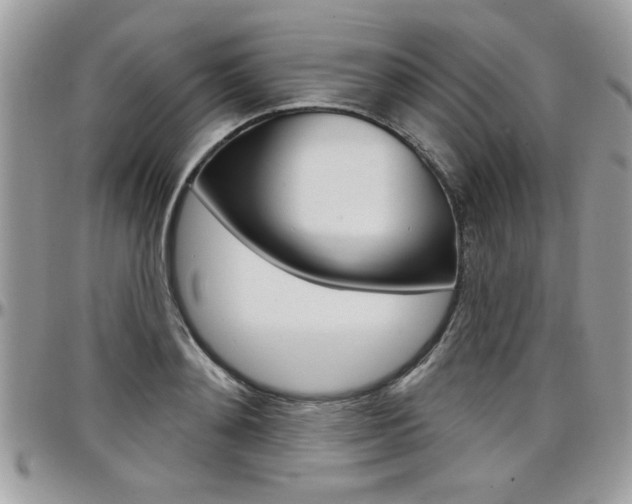 X0000097970892200803241017