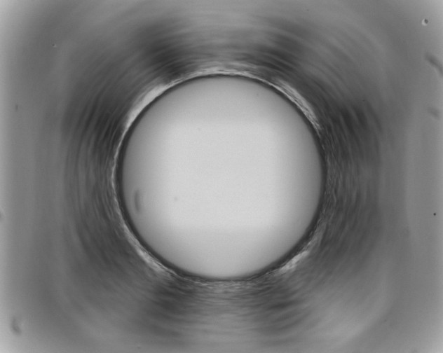 X0000097970893200803241017