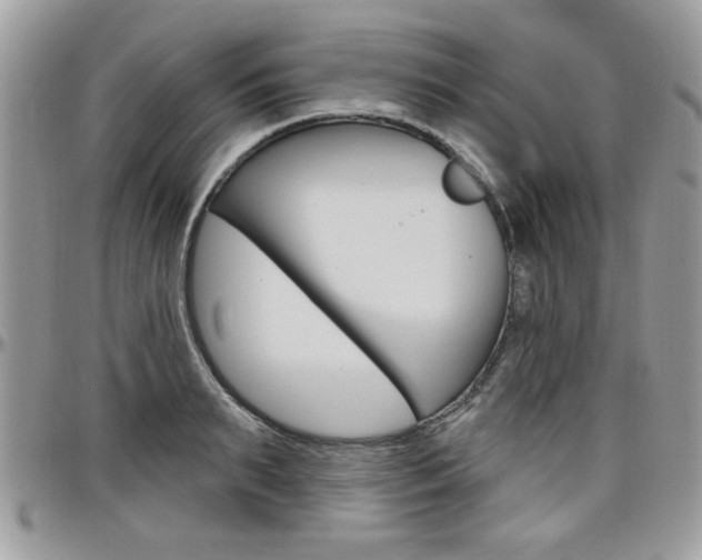 X0000097970895200803241017