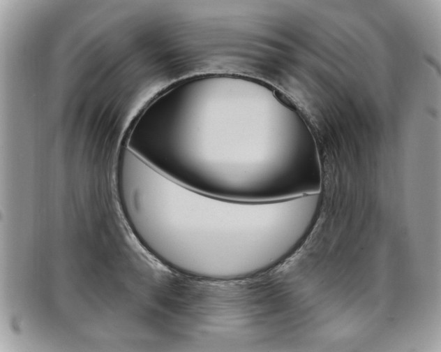 X0000097970896200803241017