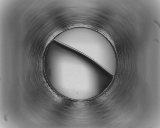 X0000097970898200803241017