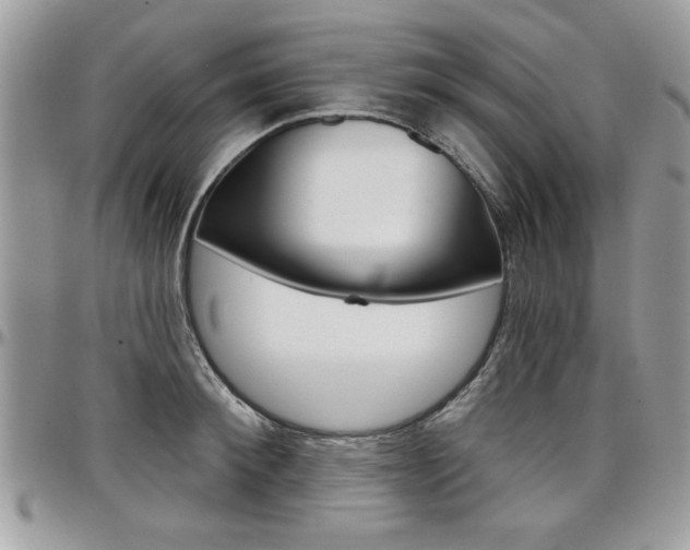 X0000097970900200803241017