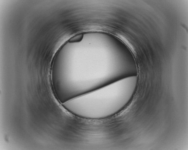 X0000097970901200803241017