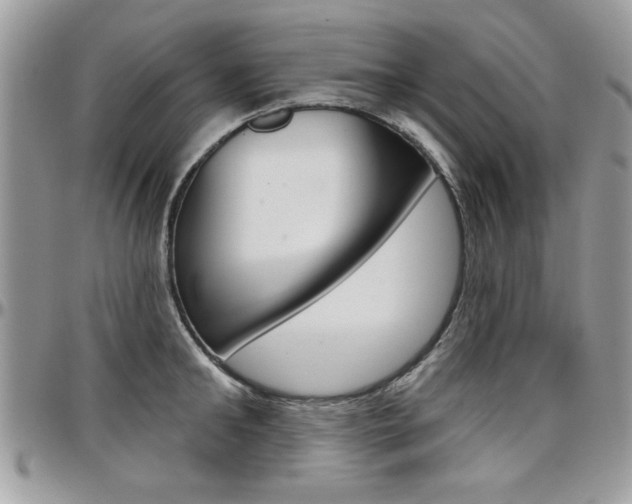 X0000097970902200803241017