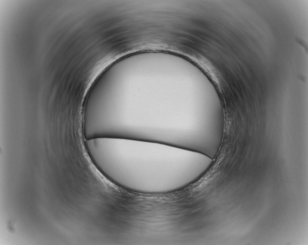 X0000097970903200803241017