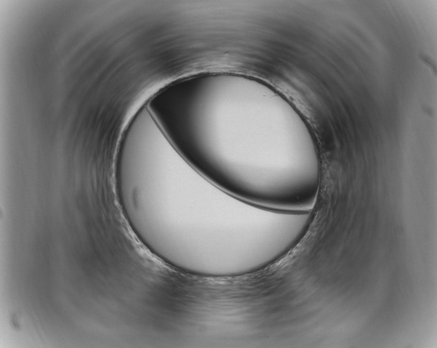 X0000097970904200803241017