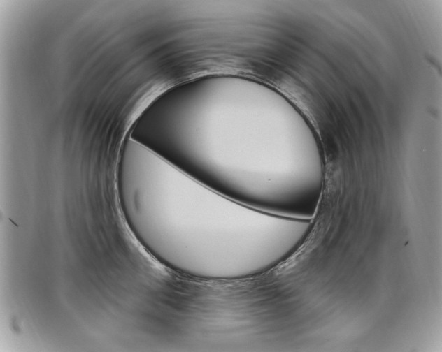 X0000097970906200803241017