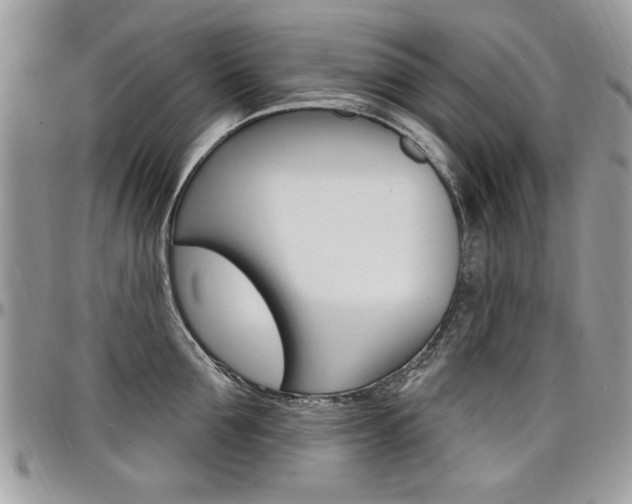 X0000097970907200803241016