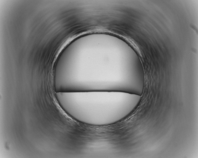 X0000097970911200803241016